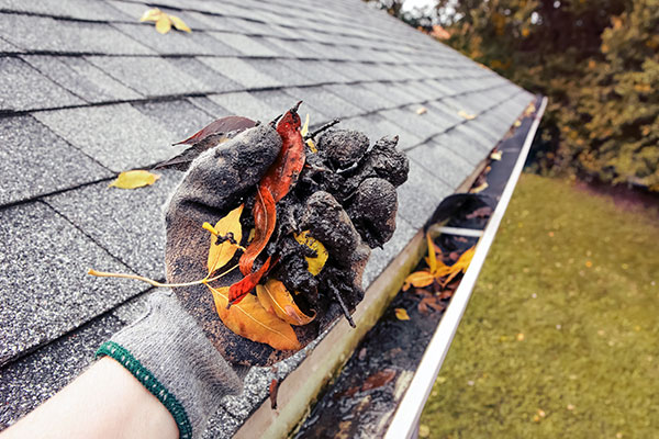 gutter cleaning roof debris cleaning